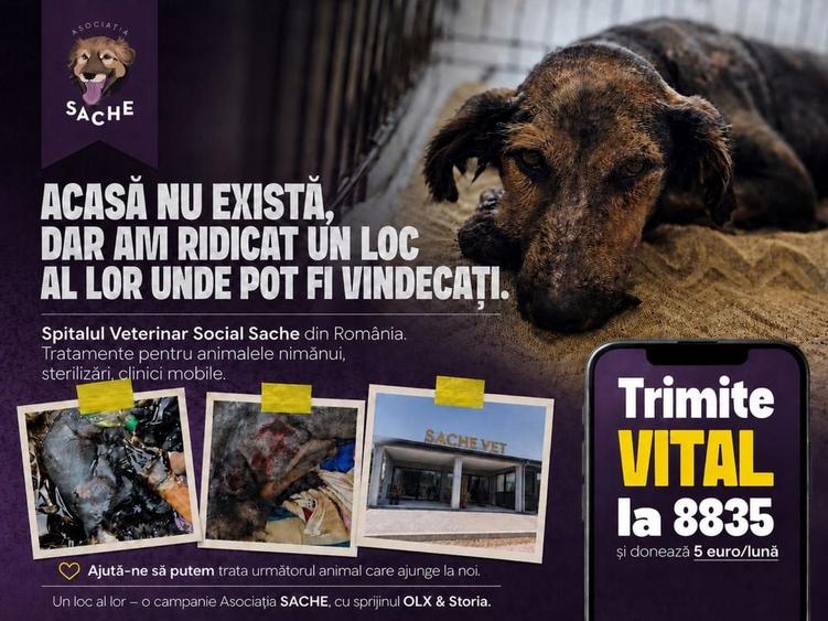 Spațiu comercial, în Tărtășești