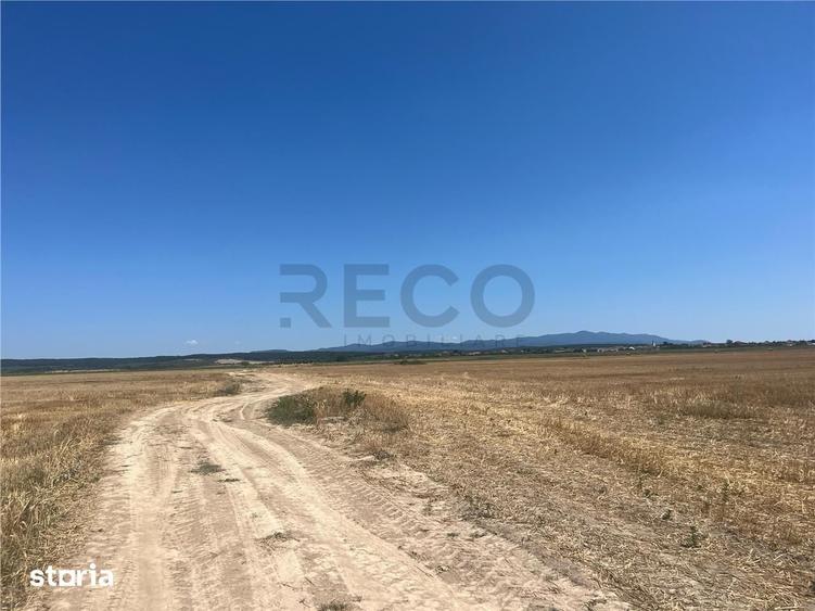 RECO Teren extravilan Ucuris- Olcea 44 000 mp - 5