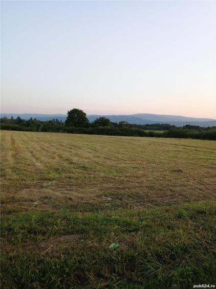Teren de 18500 mp, în Central