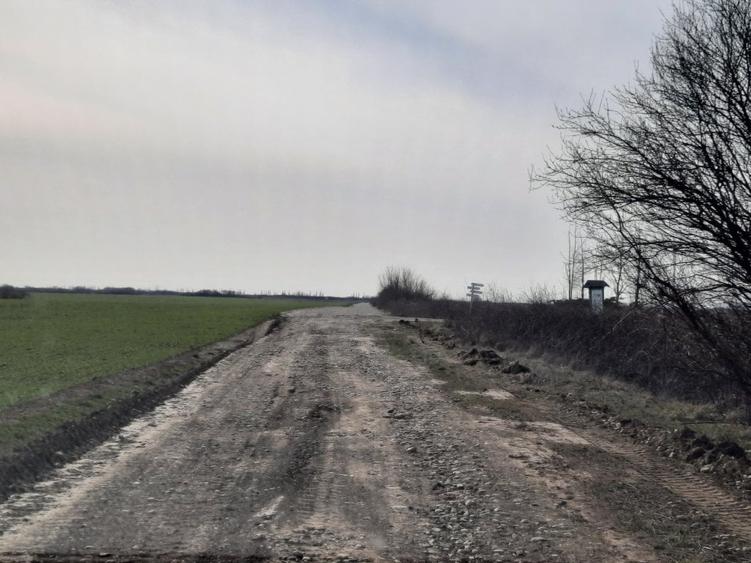 Teren Construcții intravilan de 42600 mp, în Corbeanca