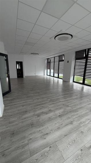 Spatiu comercial open space 65 mp in zona Calea Dumbravii - 3