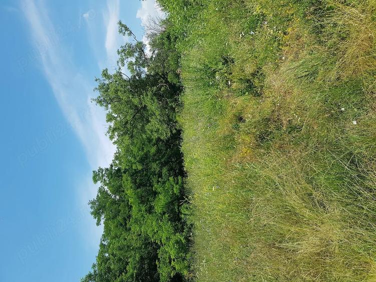 Teren de 8900 mp, în Deleni