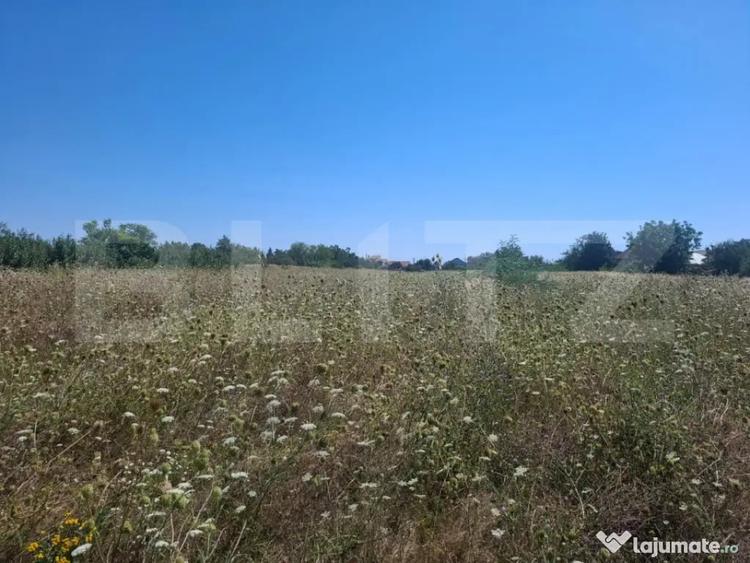 Teren în Dumbrava