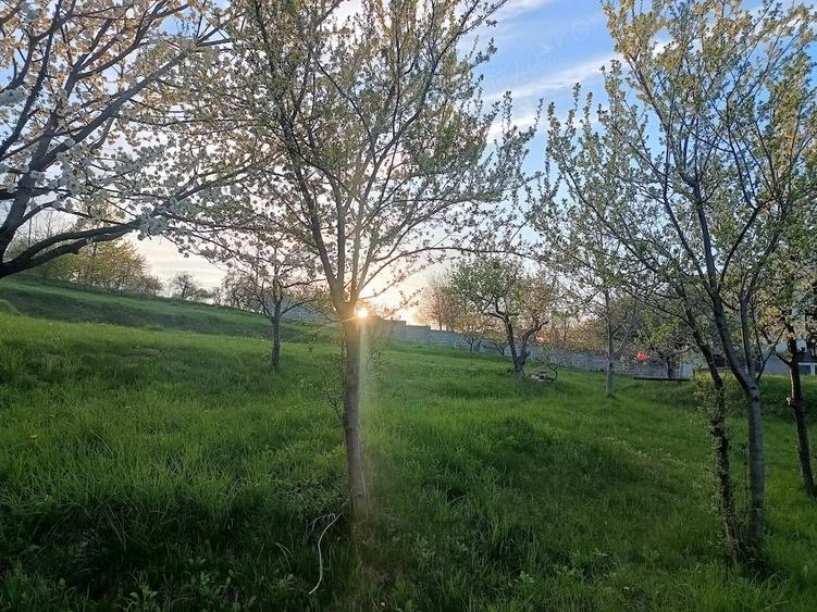 Teren de 2000 mp, în Adâncata