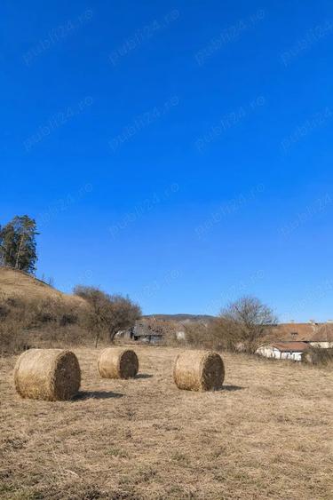 Casa de vanzare cu teren generos-ideala pentru locuinta sau casa de vacanta,aproape de Sighisoara - 2