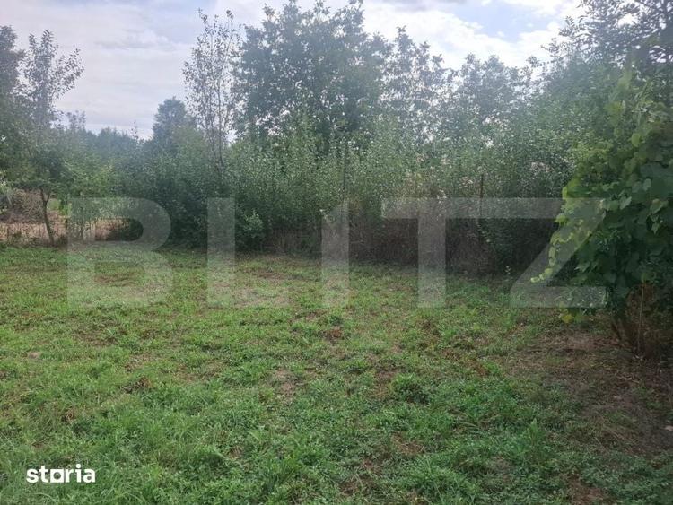 Casă cu 3 camere cu Teren 2800 Mp în Mireșu Mare