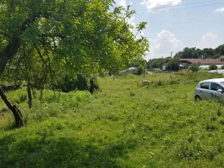 Teren de 5000 mp, în Mușcel