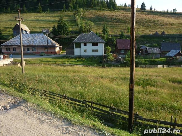 Teren de 3000 mp, în Poiana Horea