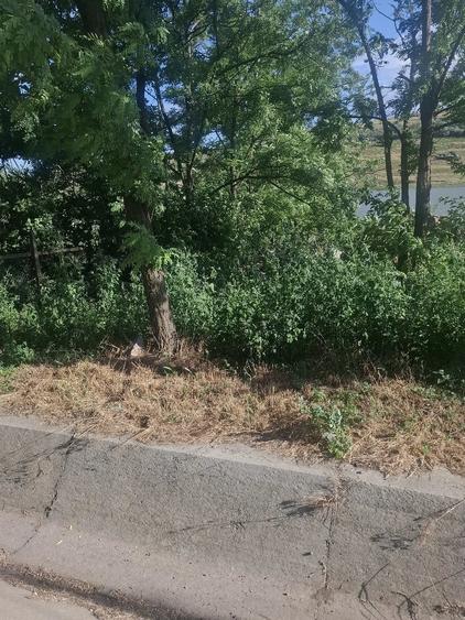 Casă cu Teren 900 Mp în Central