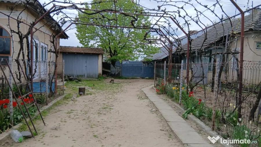 Casă cu 5 camere cu Teren 8481 Mp în Soreni