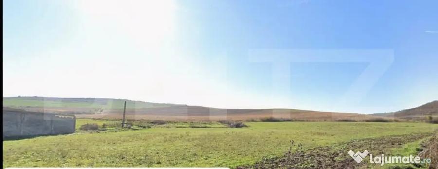 27 Ha de Teren Ideal pentru Agricultura sau Parc Fotovoltai - 2