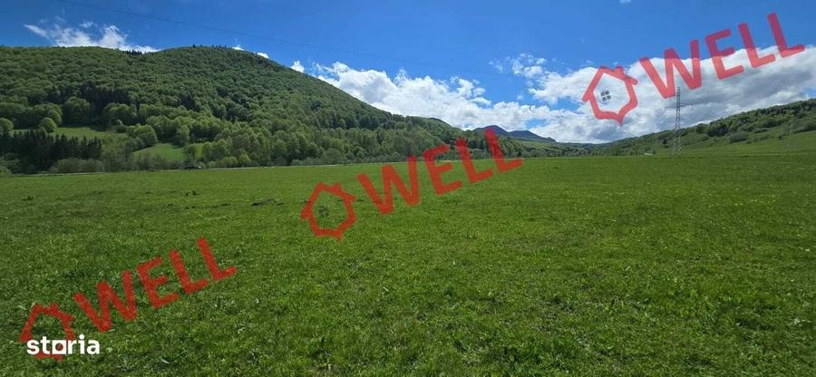 Spațiu comercial, în Vama Buzăului