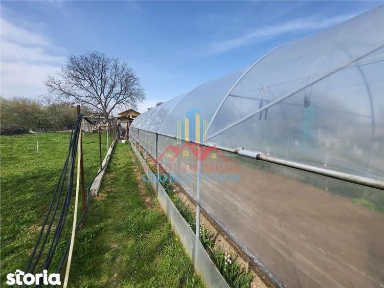 Casă cu 5 camere cu Teren 1387 Mp în Central