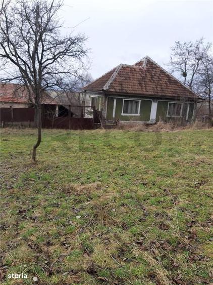 Casă cu 4 camere cu Teren 6240 Mp în Valea Crișului