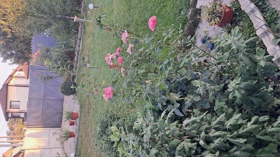 Casă cu Teren 700 Mp în Central