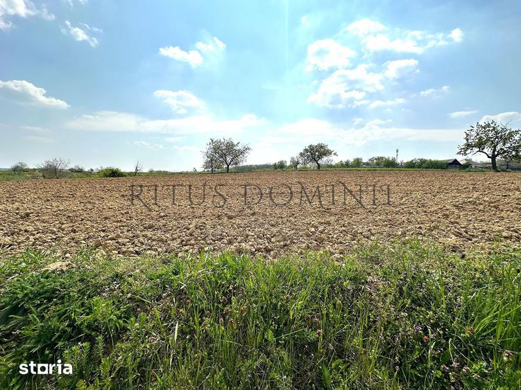 Teren Intravilan de Vanzare, Cetariu, 5450mp - 4