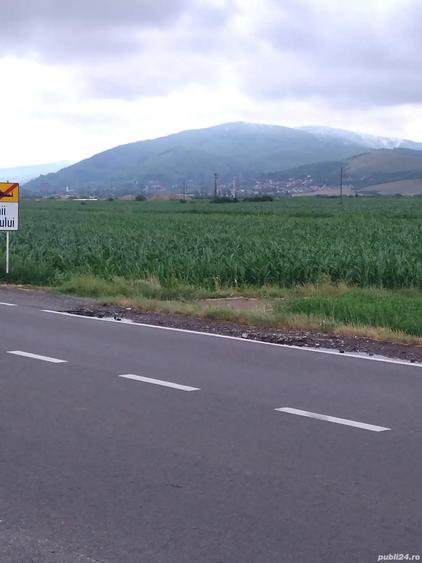 Teren de 2900 mp, în Stupinii Prejmerului