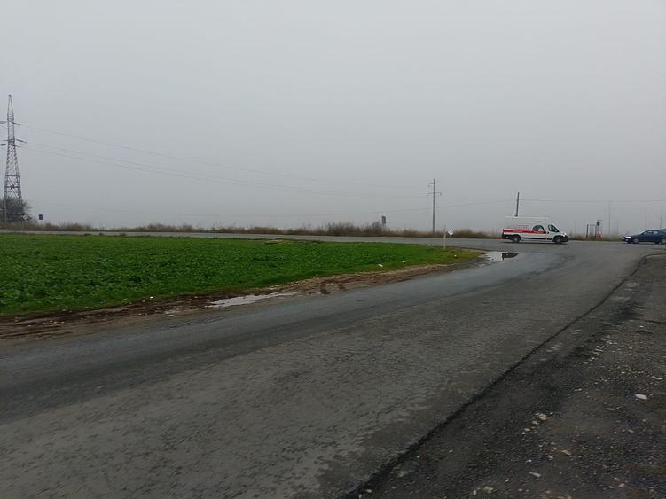 Teren Construcții intravilan de 10000 mp, în Lumina