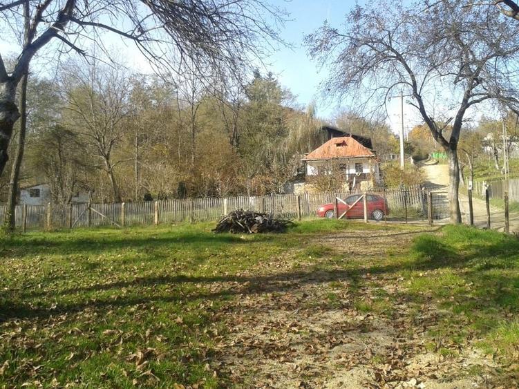 Spațiu comercial, în Central