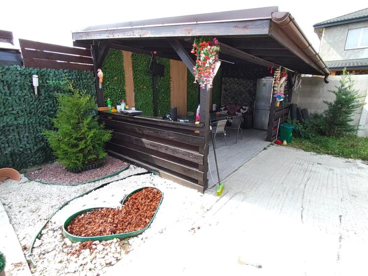 Casă cu 3 camere cu Piscina în Săbăreni