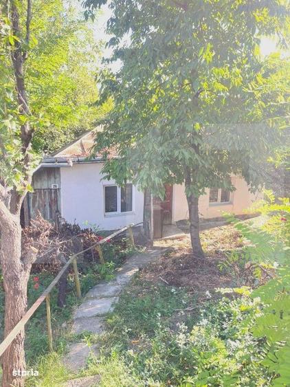 Casă cu 2 camere în Central