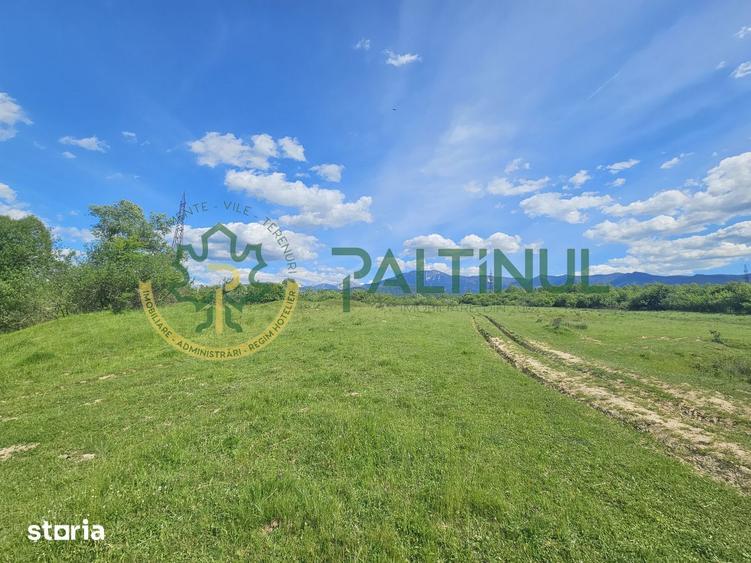 Teren de 2600 mp, în Chirpăr