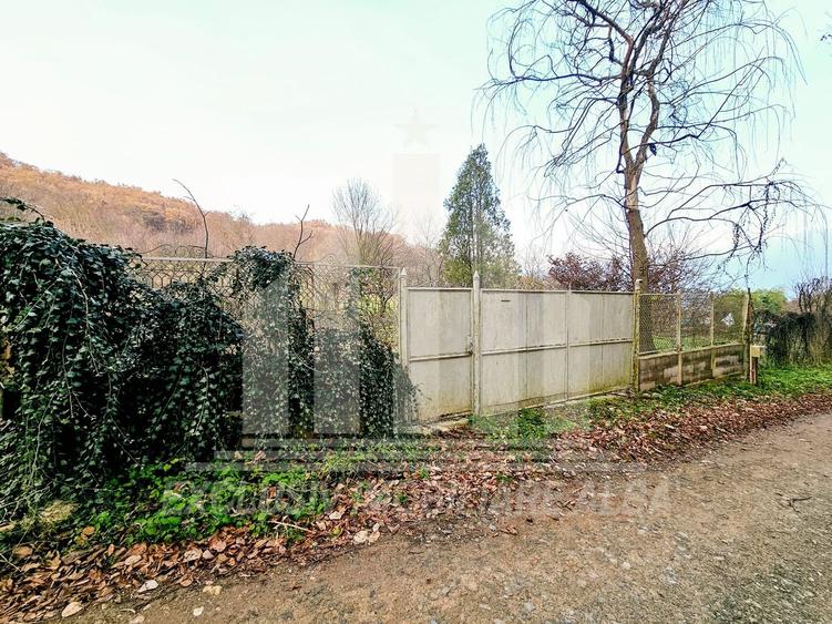 Teren Construcții intravilan de 2900 mp, în Vest