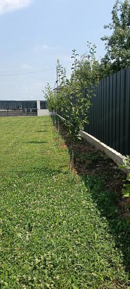 Casă cu 3 camere cu Teren 1000 Mp în Săcueni