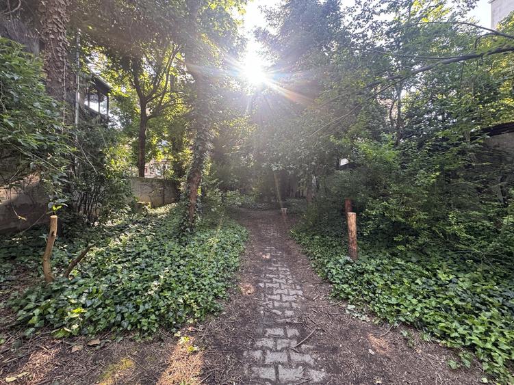 Proprietate unica la Grădina Icoanei - 10