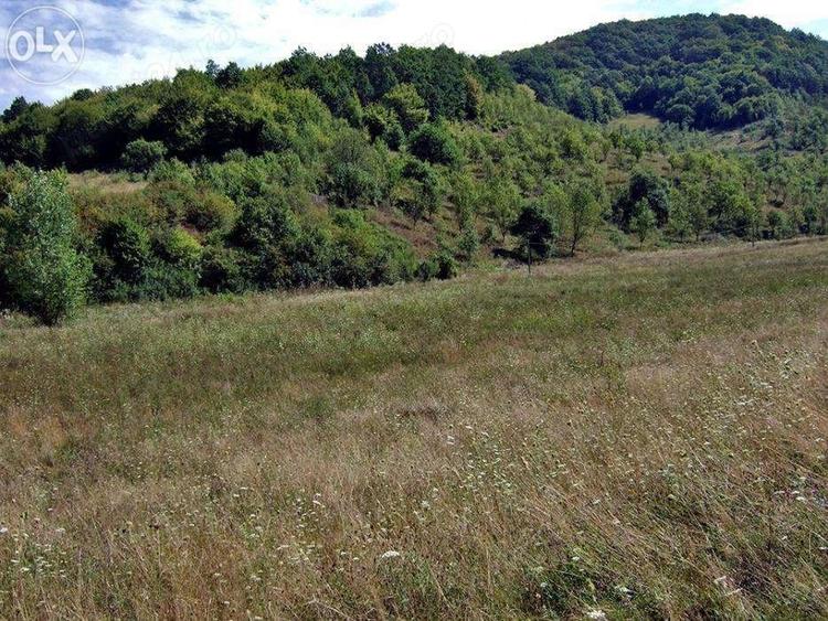 Teren de 30000 mp, în Nord