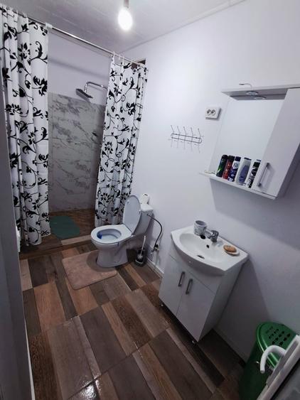 Casă individuală cu 7 camere cu Canalizare în Variaș