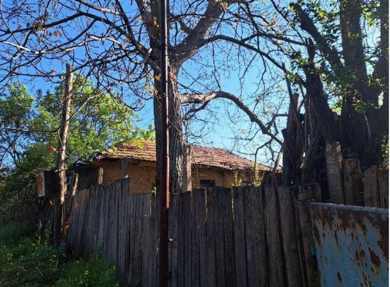 Cota de 1/2 din casa si teren- sat Poroini?a, Comuna Rog... - 2