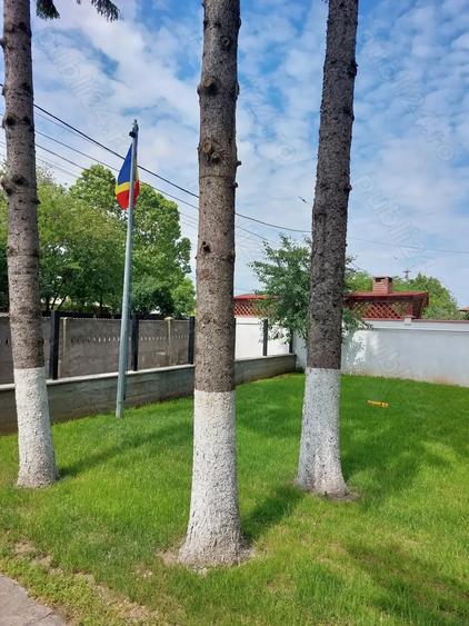 Casă cu Teren 674 Mp în Afumați