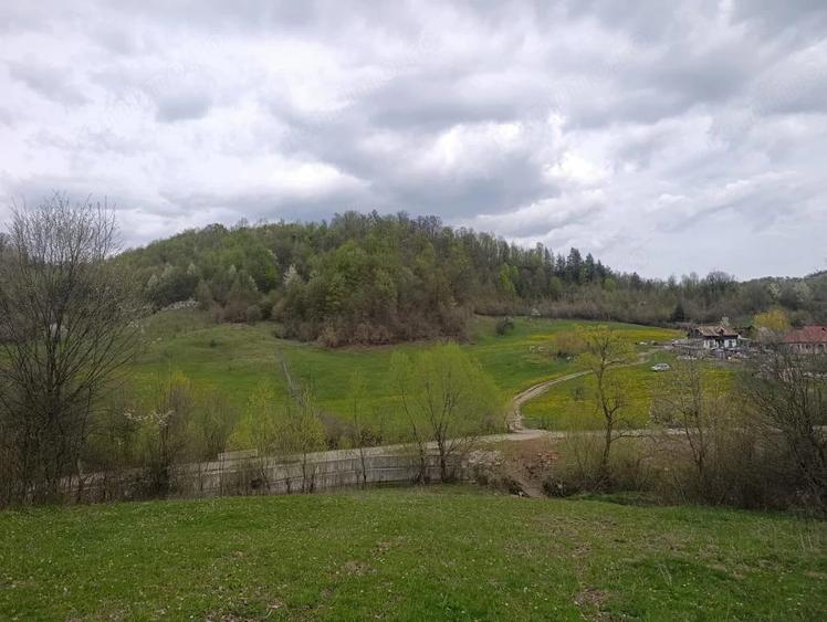 Teren de 28455 mp, în Mănăstirea Cașin