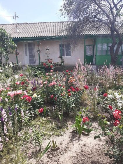 Casă cu 3 camere în Revărsarea