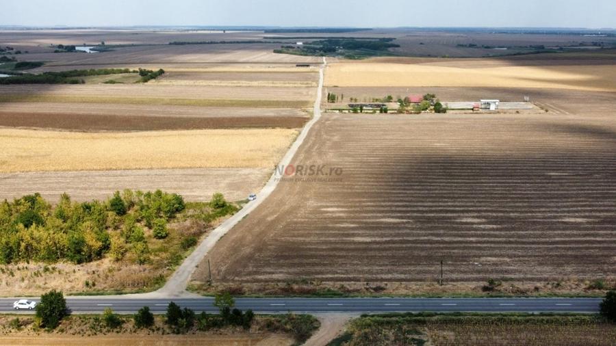 Teren Construcții intravilan de 9000 mp, în Frumușani