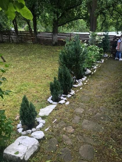 Casă cu 3 camere în Gura Teghii
