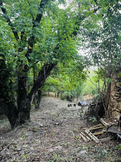 Casă individuală cu 4 camere cu Teren 4173 Mp în Văliug