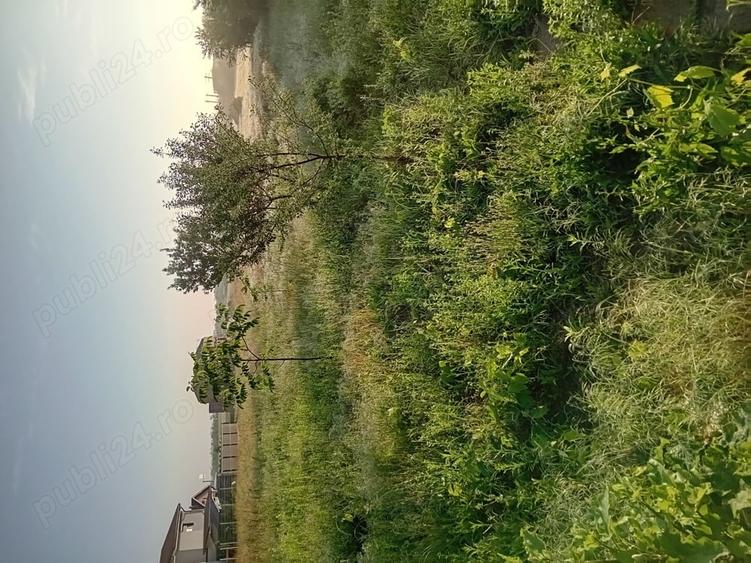 Teren de 4200 mp, în Giarmata