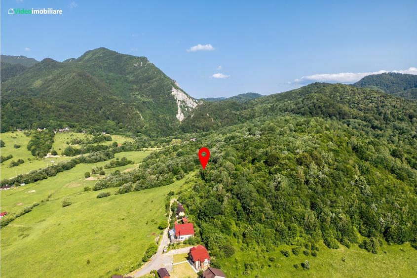 Teren Construcții extravilan de 8800 mp, în Exterior Est