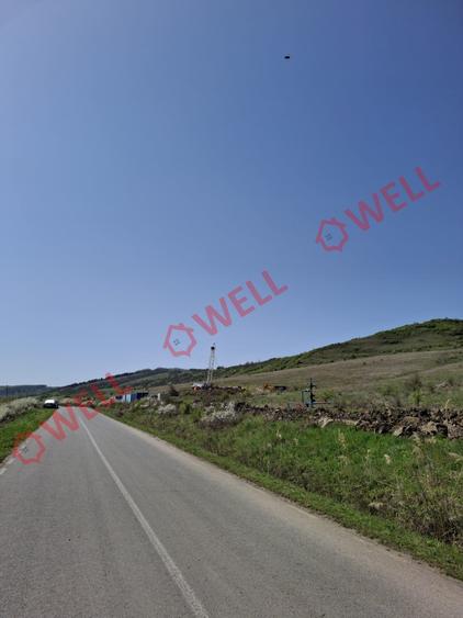 Teren agricol extravilan de 60000 mp, în Agrișteu