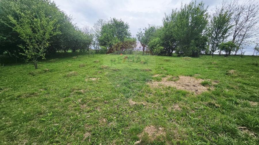 Teren Construcții intravilan de 5350 mp, în Dobreni