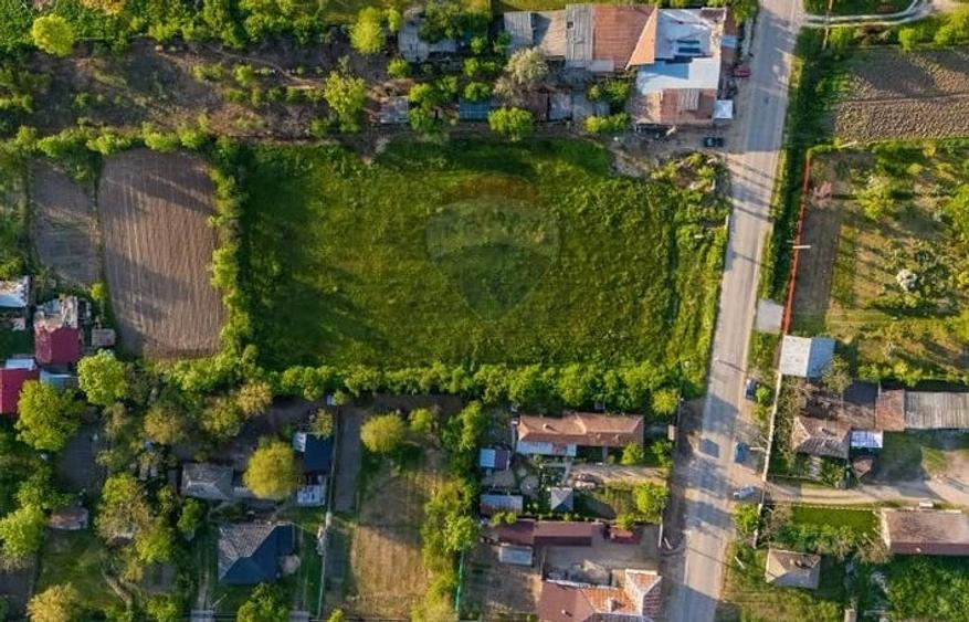 Teren de 4734 mp, în Ciocești