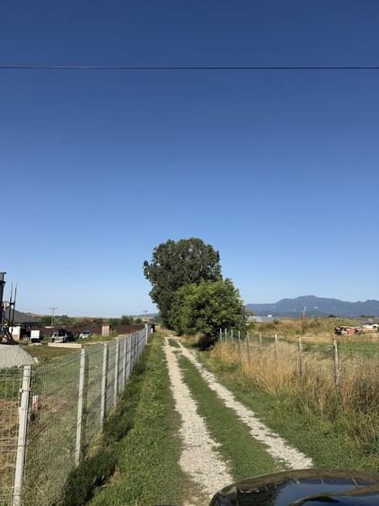 Teren de 1150 mp, în Tohanu Nou