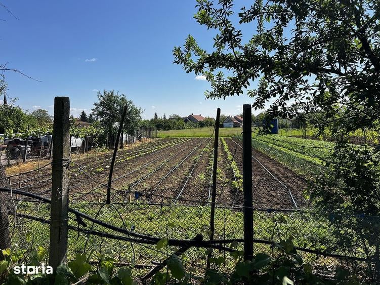 Casă cu 4 camere cu Teren 1190 Mp în Biharia