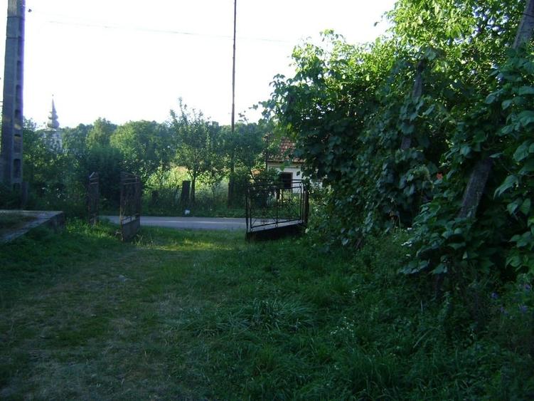 Casă individuală cu 4 camere cu Teren 3200 Mp în Rușor