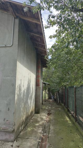 Casă cu Teren 8000 Mp în Crevedia Mare