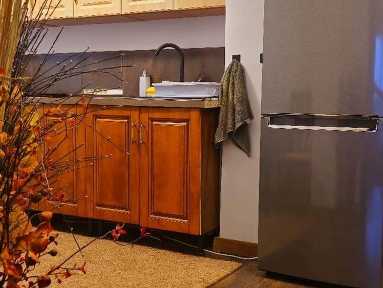 Apartament cu 2 camere semidecomandat, mobilat în Sebastian