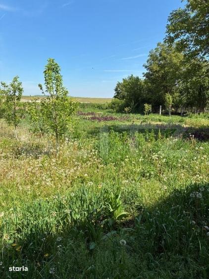 Casă cu 3 camere cu Teren 584 Mp în Central