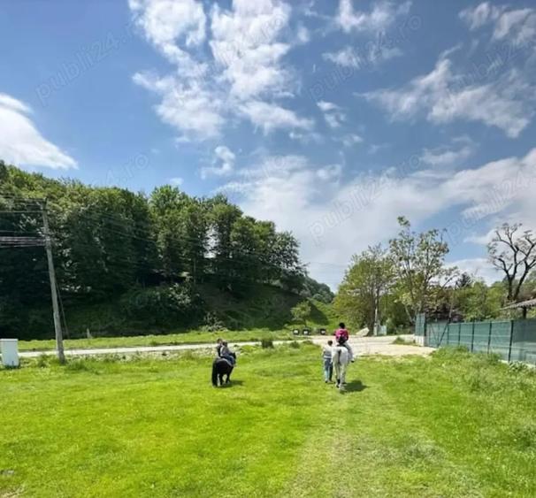 Teren de 800 mp, în Costești